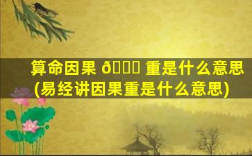 算命因果 🐘 重是什么意思(易经讲因果重是什么意思)